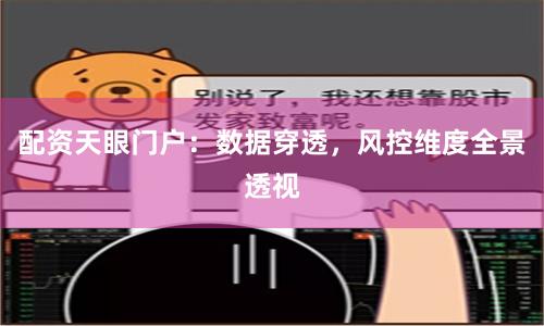 配资天眼门户：数据穿透，风控维度全景透视